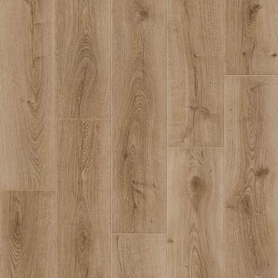 Дуб Восковой L1250-08478 - главное фото